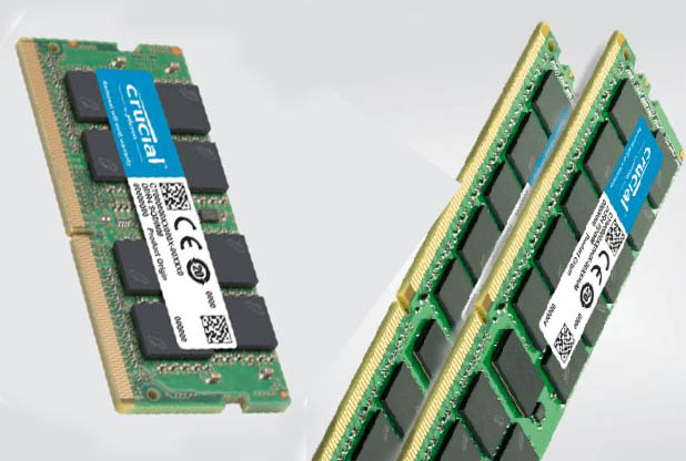 Ram